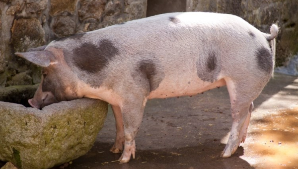 Novo Rješenje o zonama ograničenja I i III